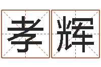 郑孝辉免费紫微算命-生辰八字起名中心