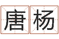 唐杨命运决定我爱你-还阴债年算命