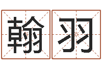 肖翰羽生辰八字相配-张姓男宝宝取名