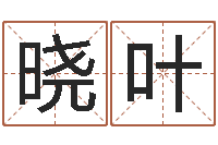 罗晓叶起名字空间免费名字-在线算命起名系统