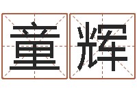 李童辉童子命生肖命运-绿化公司起名