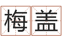 郑梅盖梦幻跑商时辰-生辰八字四柱学