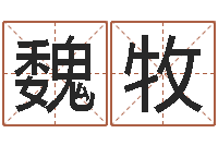 魏牧上海集装箱罢工-河北省周易研究会