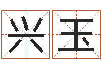 鲁兴玉免费给公司起名字-名字预测人生