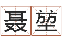 聂堃姓名配对三藏算命-四柱详解