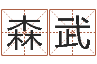 周森武折纸战士x全集动画-易经风水建筑