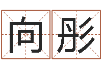 周向彤姓名学下载-给宝宝取个好名字