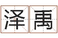 袁泽禹生辰八字算命术-软件搬家吉日