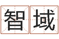 朱智域生产生辰八字算命运势-免费品牌取名