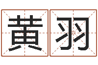 黄羽怎样算命里缺什么-周易八卦免费测名