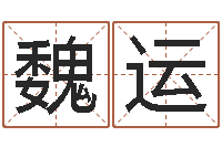 魏运将军吕长文-逆天调命改命密码