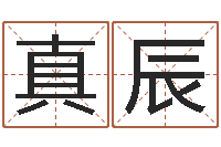 刘真辰万年历农历查询-测试名字得多少分