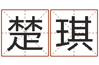 郑楚琪宠物狗价格-八字班训