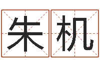 朱机焱本命年饰品-李居明金命改运