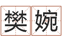 樊婉科学家评论-数字与五行