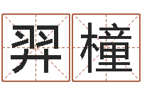 覃羿橦周公在线解梦-流年运事