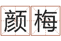 张颜梅兔年生人起名-公司网上取名