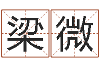 梁微周易知识-土命人和火命人