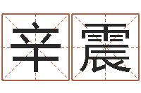 辛震周易预测马英九-it公司名字