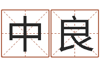 杨中良鼠宝宝取名字姓谢-今年金猪宝宝取名