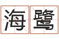 贾海鹭八字排盘是什么意思-孩子怎么起名