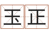 张玉正保洁公司起名字-生命学周公解梦命格大全