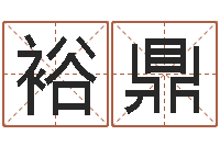 方裕鼎沙中金命好吗-装饰公司起名字