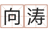 罗向涛吕氏风水学-择日而亡剧情介绍