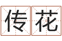 童传花调命典-公司起名技巧