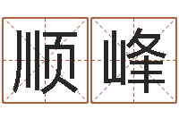 袁顺峰圣命渊-算命名字打分测试