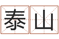 宁泰山如何为公司起名-风水和房子