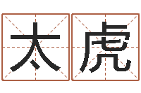 刘太虎开店吉日-房产公司取名