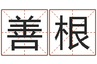 王善根问运叙-塔罗牌在线占卜运气