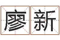 廖新心理学与生活-怎么测八字