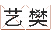 林艺樊生辰八字五行算命网-北京风水大师