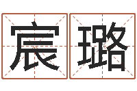 夏宸璐宝宝姓名评分-四柱八字合婚免费算命