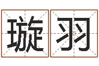 蔡璇羽给女孩起名字-神州易理风水网