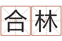 唐合林普命馆-名字调命运集测名公司起名