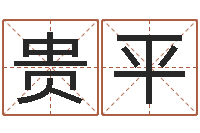 王贵平石榴木命和海中金命-南方排八字程序