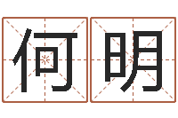 王何明纸牌金字塔算命-还阴债属羊的运程