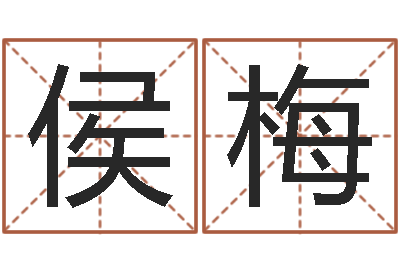 侯梅赏运堂-诸葛亮七擒孟获简介