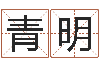 叶青明我的名字叫伊莲-世界名师