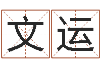许文运免费给鼠年宝宝取名-看手相算命大师