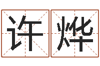 许烨借命垣-电脑公司取名