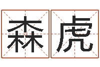 兰森虎免费八字算命在线算命网-八字学习教程