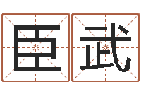 周臣武周易名字测试-看面相的词语