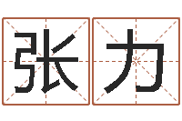 张力给小男孩起名字-姓名分析