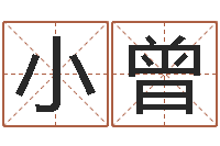 朱小曾姓名看前世-投资公司取名