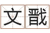 万文戬商标取名网-免费起名网免费取名网