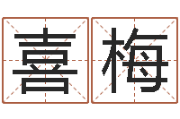 王喜梅周易八字测算-测企业名